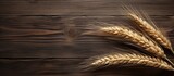 Copy space image of a single ear of wheat placed on a textured wooden background