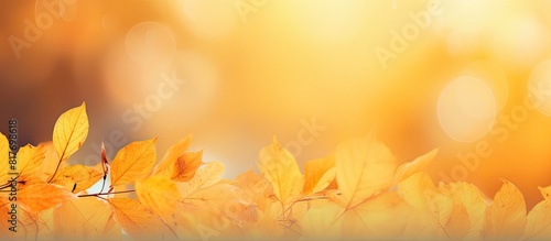 A copy space image featuring the vibrant yellow hues of autumn leaves on a background