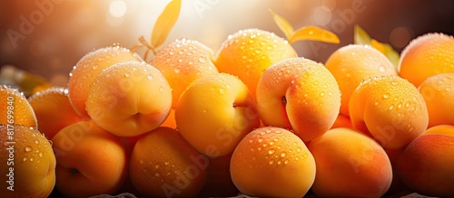Juicy apricots with their vibrant orange color and luscious flesh glisten in the copy space image