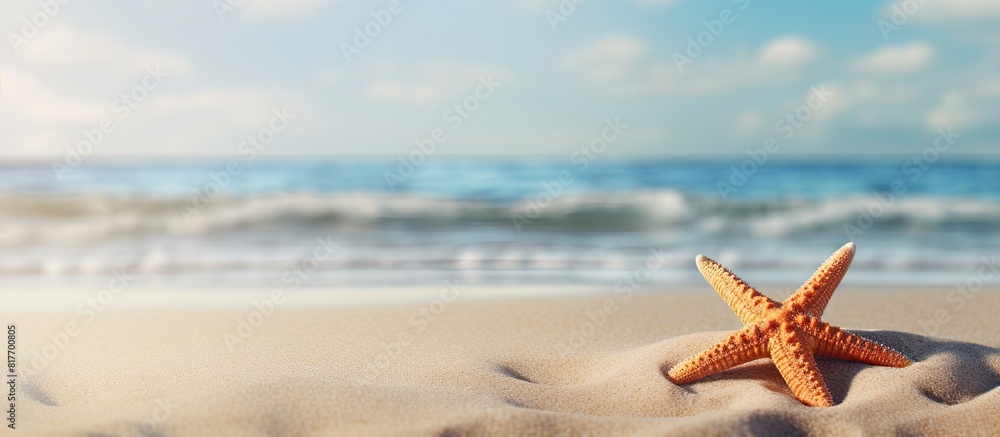 A starfish lies on the sandy beach creating a serene scene with ample copy space image A starfish lies on the sandy beach creating a serene scene with ample copy space image