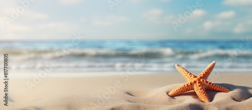 A starfish lies on the sandy beach creating a serene scene with ample copy space image