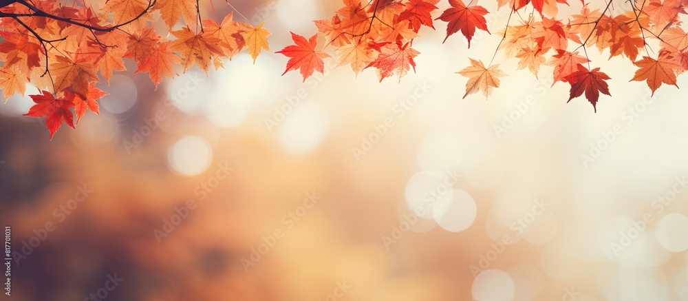 The copy space image showcases a vibrant autumn background adorned with blurry multicolored maple leaves The copy space image showcases a vibrant autumn background adorned with blurry multicolored maple leaves
