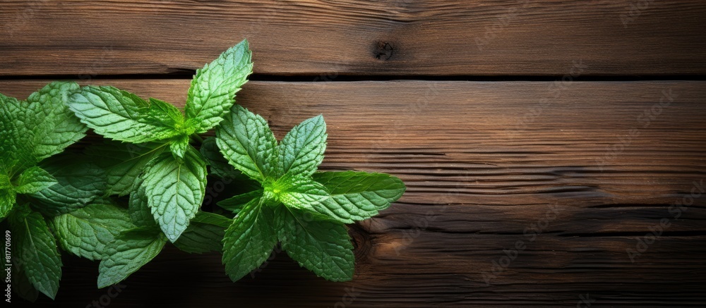 A copy space image of vibrant green mint leaves placed on a rustic wooden table A copy space image of vibrant green mint leaves placed on a rustic wooden table