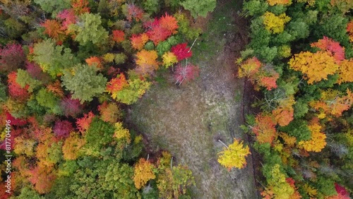 Drone orbits autumn canopy with roads photo