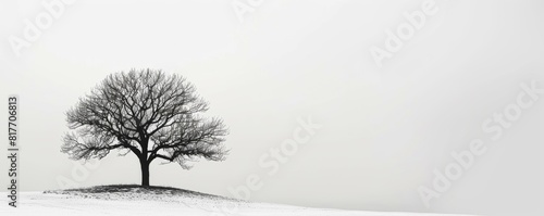Majestic Black Silhouette of a Tree Against a Pure White Background