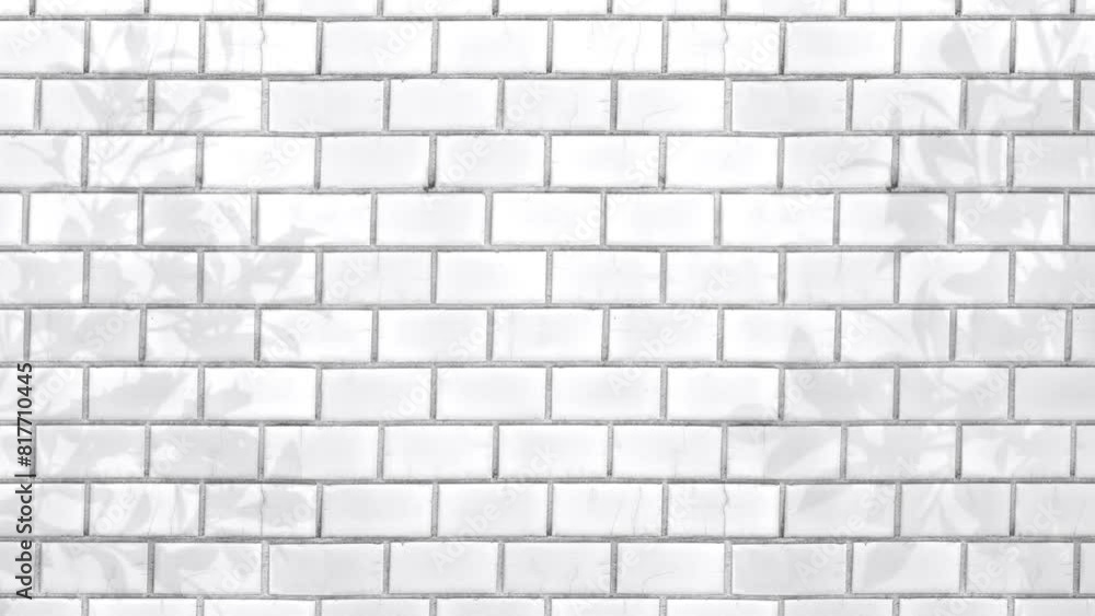 Animated Abstract Gray Shadow Background Of Natural Leaves Tree Branch Falling On White Brick Wall. Minimalist Brick Wall Background Video. Suitable For Advertisement, Business And Marketing Video. Animated Abstract Gray Shadow Background Of Natural Leaves Tree Branch Falling On White Brick Wall. Minimalist Brick Wall Background Video. Suitable For Advertisement, Business And Marketing Video.