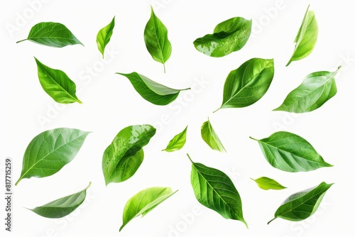 Flying green leaves on white background