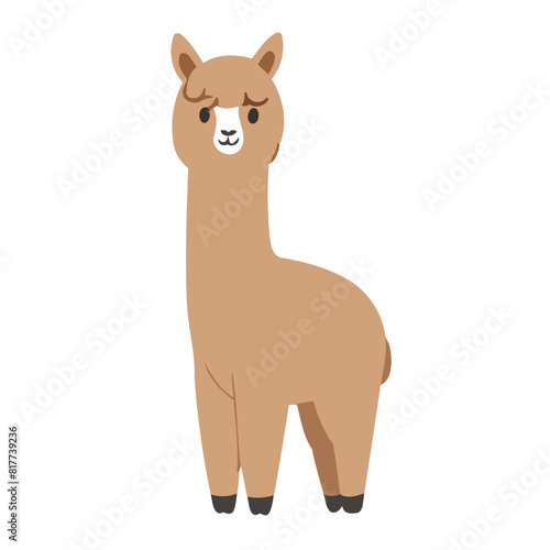 Vector illustration of a cute Alpaca for kids books