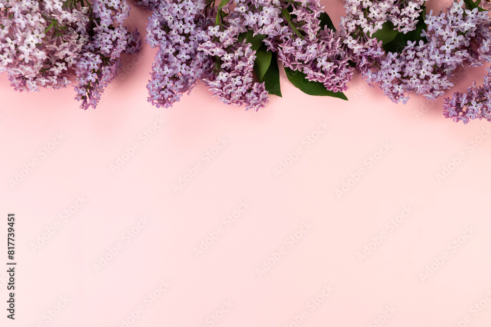 Top view of purple lilac flowers on pink background. Spring wallpaper, flat lay, copy space. Top view of purple lilac flowers on pink background. Spring wallpaper, flat lay, copy space.