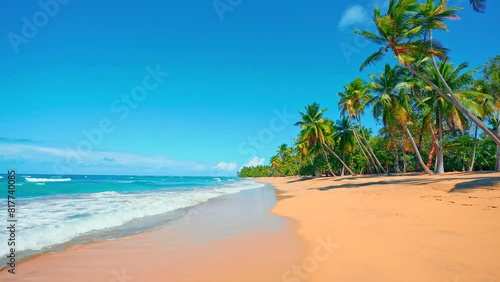 Paradise beach with palm trees on a sunny summer day - beautiful and tropical Caribbean coastline in Tulum in Quintana Roo, Riviera Maya, Cancun, Mexico. Nature landscape of a sea island. photo