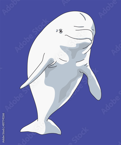 Beluga Whale Sea Canary White Whales