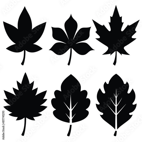 Set of sycamore leaf Silhouette Design with white Background and Vector Illustration