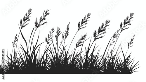 Silhouette grass ornament icon design vector illustration