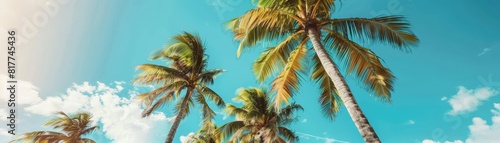 Palm trees swaying under the clear blue skies of Miami Beach  close up on lush greenery  theme of tropical paradise  realistic  Double exposure  oceanfront backdrop