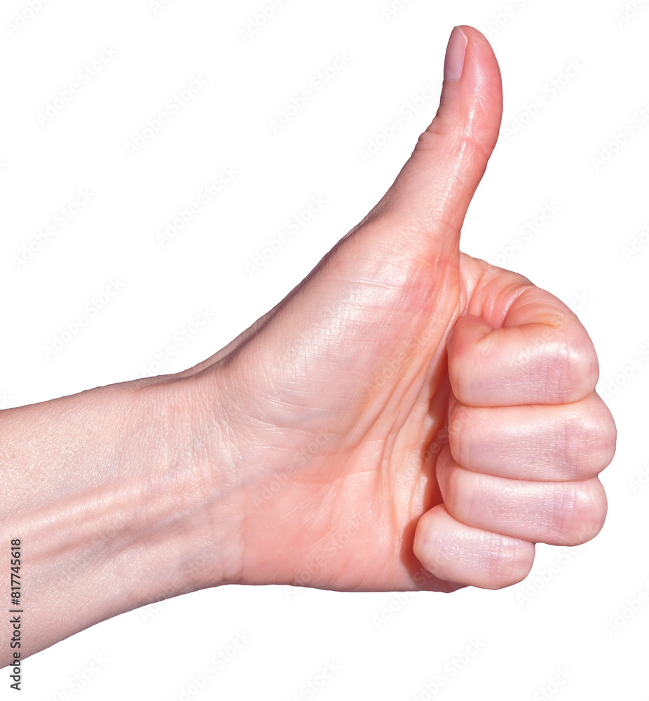 Hand With Thumb Up. Hand Showing Hand With Thumb Up. Hand Showing