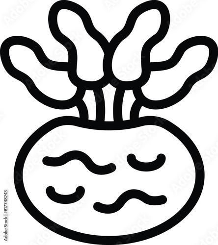 Crunchy kohlrabi icon outline vector. Vegan fresh turnip. German veggie cabbage