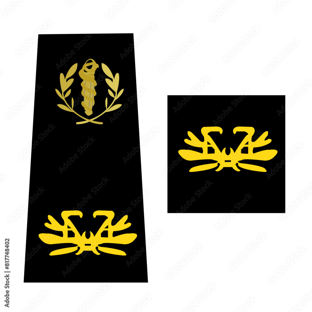 Galons de l'armée de terre française du personnel de santé des armées: Médecin militaire: Médecin Chef des Services de classe normale Galons de l'armée de terre française du personnel de santé des armées: Médecin militaire: Médecin Chef des Services de classe normale