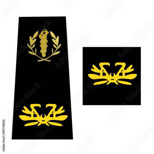 Galons de l'armée de terre française du personnel de santé des armées: Médecin militaire: Médecin Chef des Services de classe normale