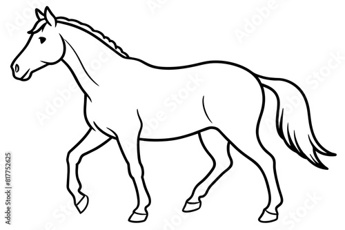 Fototapeta Naklejka Na Ścianę i Meble -  horse vector silhouette illustration