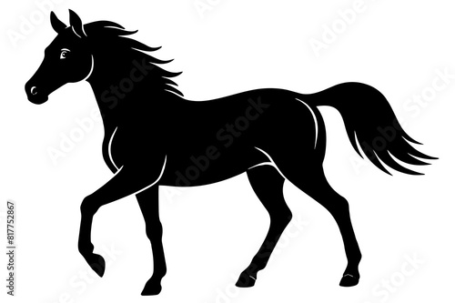 horse vector silhouette illustration