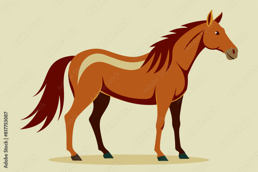 horse cartoon vector illustration horse cartoon vector illustration