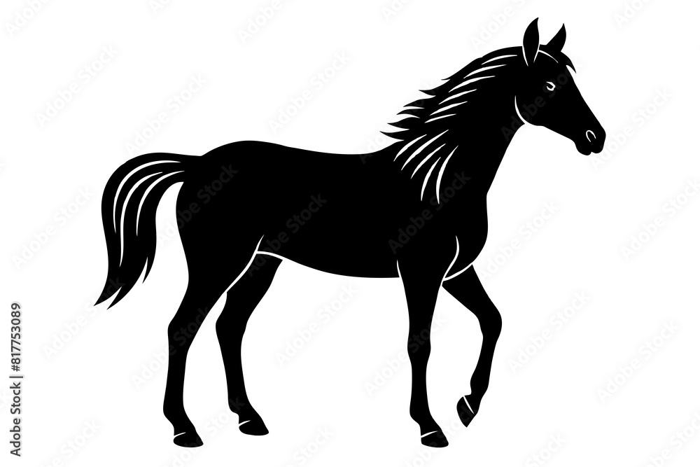 horse vector silhouette illustration