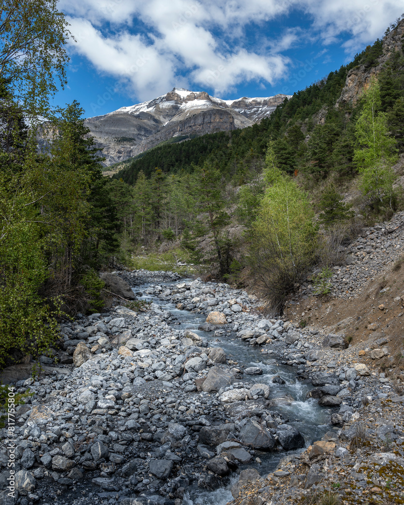 Obraz premium Rivière de montagne Tuébi dans le Parc National du Mercantour au printemps autour du village de Péone dans les Alpes-Maritimes