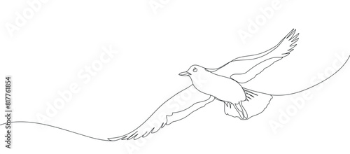 Outline bird flying. One line seagull hand drawn illustration. Hand drawn minimalism style continuous line illustration. Beautiful sea life design elements.