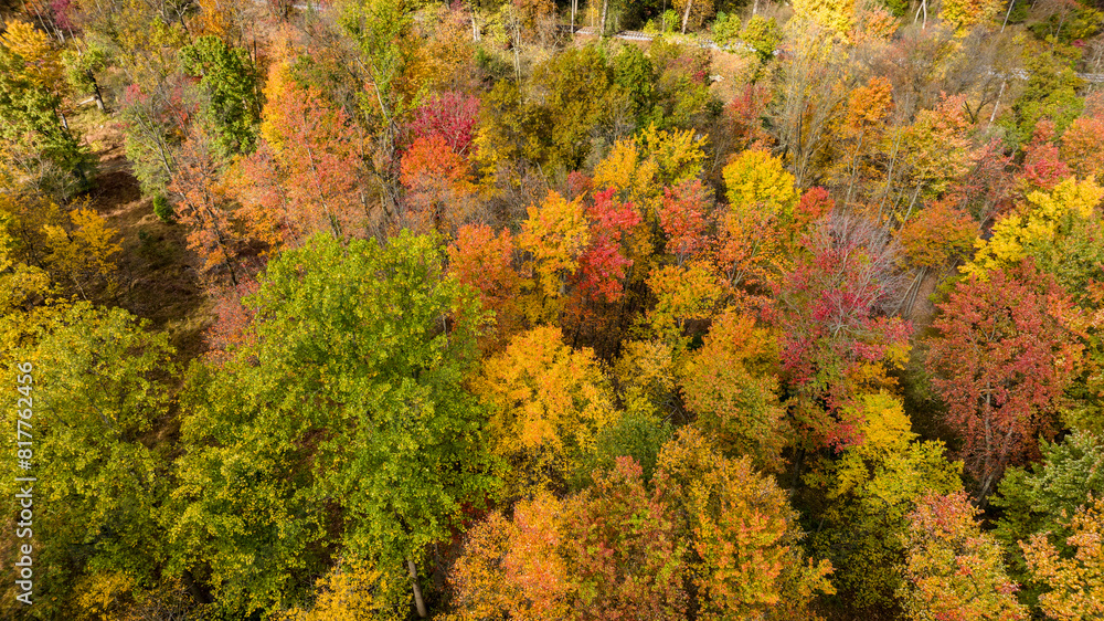 Aerial view of a beautiful wooded area with lush trees in autumn colors Aerial view of a beautiful wooded area with lush trees in autumn colors