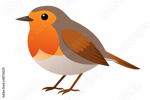 A beautiful robin bird vector artwork illustration