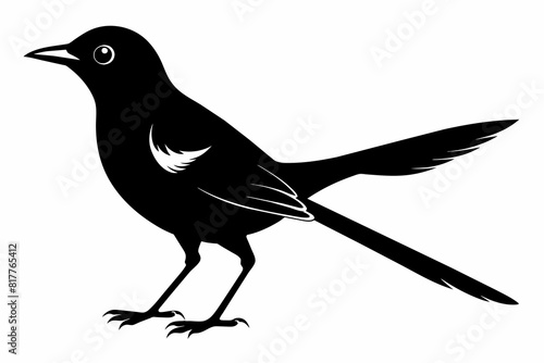 Fotografía A mockingbird silhouette black vector artwork illustration
