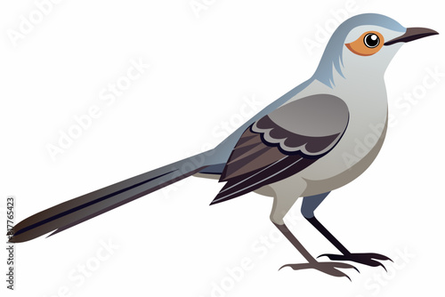  A beautiful mockingbird vector artwork illustration