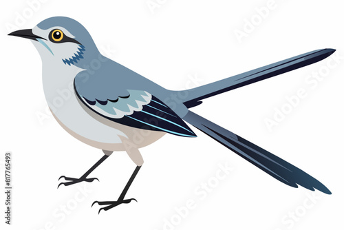 Photography A beautiful mockingbird vector artwork illustration