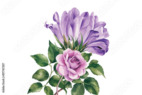 Watercolor purple flower clipart illustration and rose floral branch with green creeper leaves on white background
