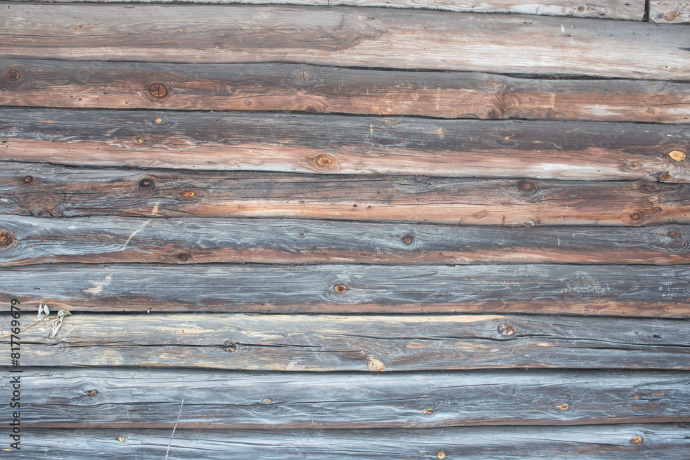 Fototapeta premium Wood texture