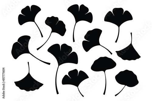 Set of ginkgo leaf Silhouette Design with white Background and Vector Illustration