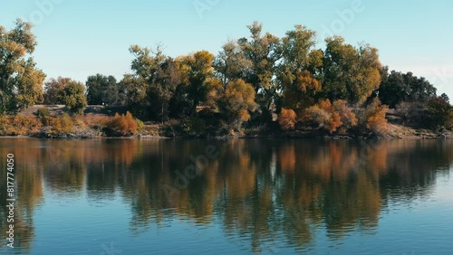 Wallpaper Mural Green trees and plants on the lakeshore with light wind moving the surface of a tranquil lake water Torontodigital.ca