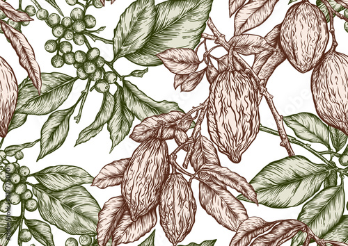 Coffee tree. Branch with leaves and berries. Cocoa tree branch with cocoa beans, chocolate beans, Seamless pattern, background. Vector illustration. In botanical style