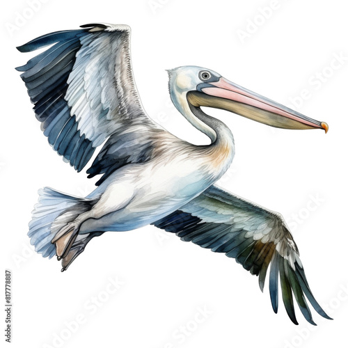 Pelican, Bird Illustration. Watercolor Style. AI Generated