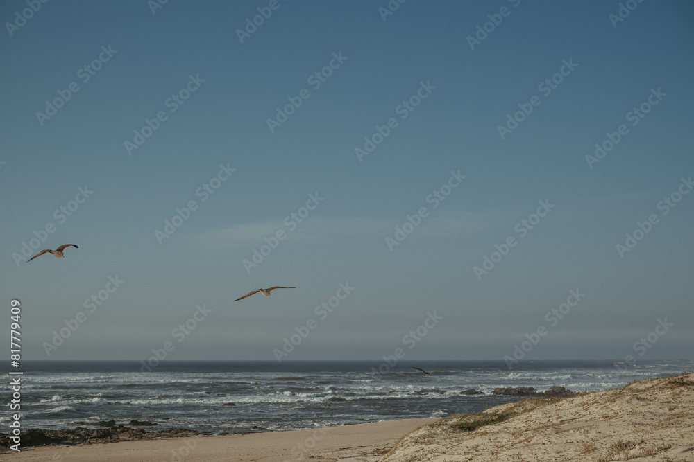 two birds are flying low above the ocean shore at the beach two birds are flying low above the ocean shore at the beach