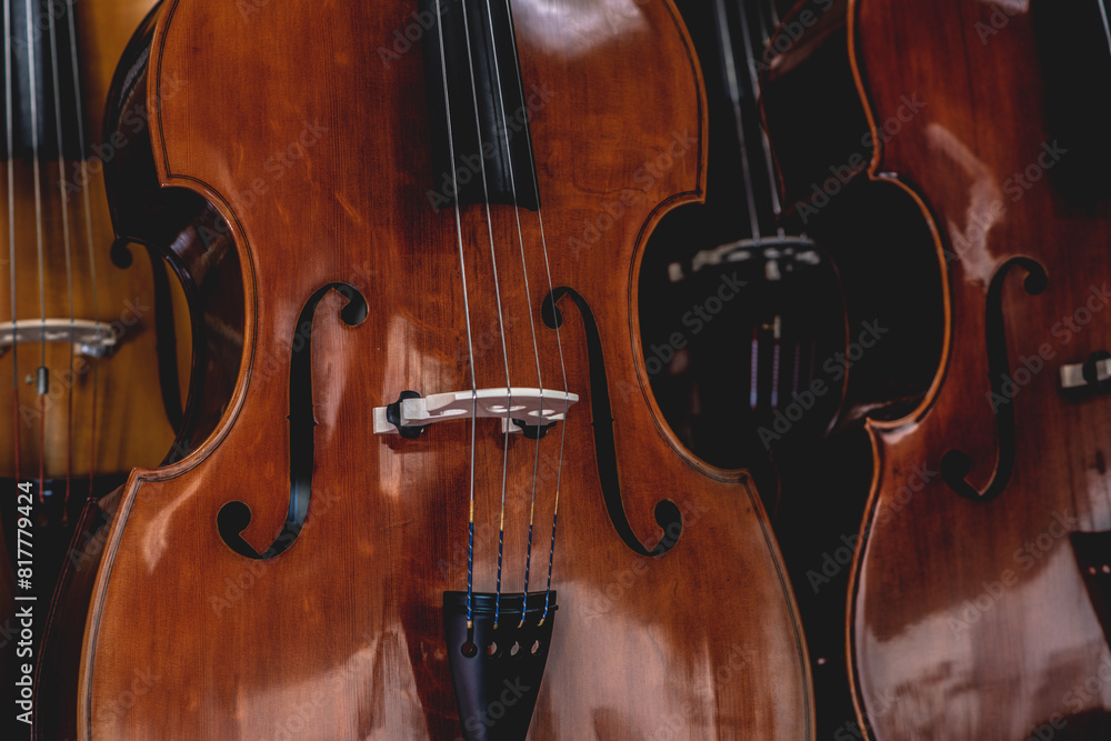 violins hanging on strings in a room with wine glasses on the floor violins hanging on strings in a room with wine glasses on the floor