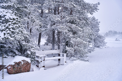 Winter storm in Emasalo Island in cold January morning photo