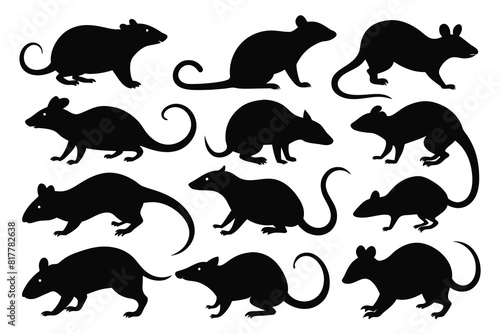 Set of rat Silhouette Design with white Background and Vector Illustration