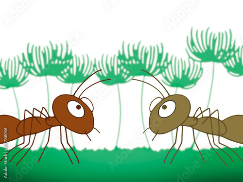 Two ants facing each other