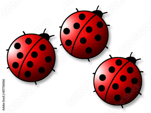 Illustration of three ladybirds