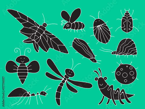 Illustration of different types of insects together