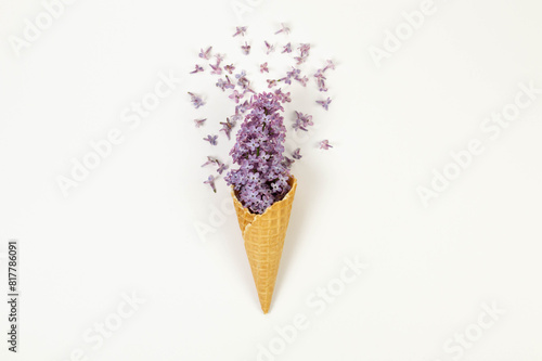 Top view of purple lilac flowers on white background. Creative ice cream waffle cone. Spring and summer wallpaper, flat lay, copy space. photo