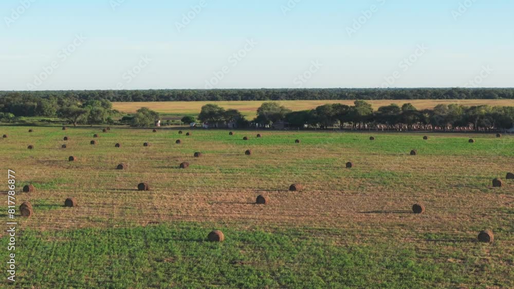 Aerial side view of a field filled with round bales of hay in Santiago del Estero, Argentina. Aerial side view of a field filled with round bales of hay in Santiago del Estero, Argentina.