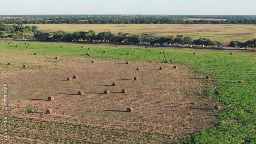 Beautiful green field in the heart of Argentina adorned with numerous round hay bales. Beautiful green field in the heart of Argentina adorned with numerous round hay bales.