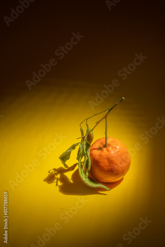 Serial image of bilogical clementines or oranges on yellow background photo